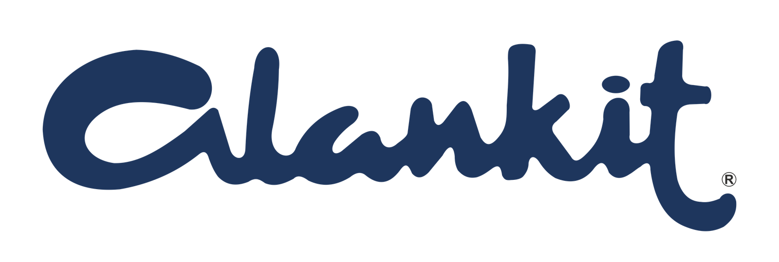 41. Alankit.png